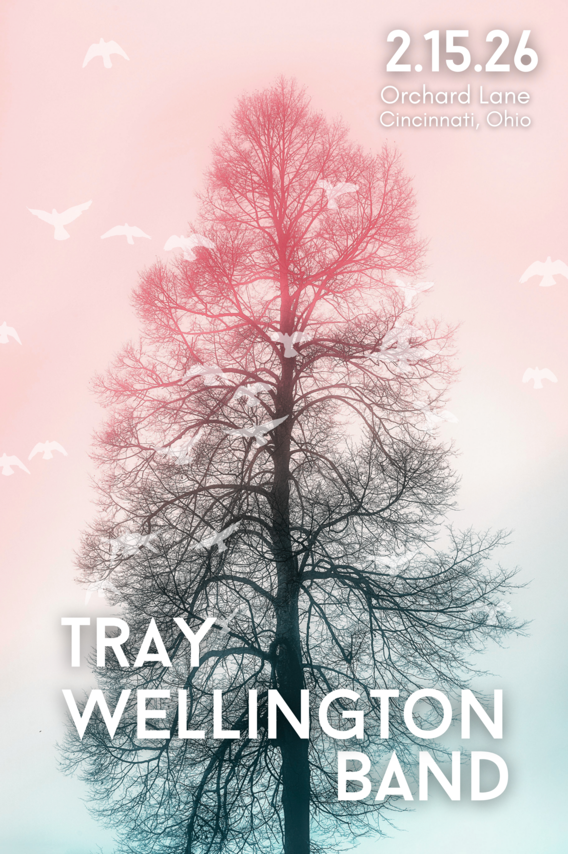 Tray Wellington Band